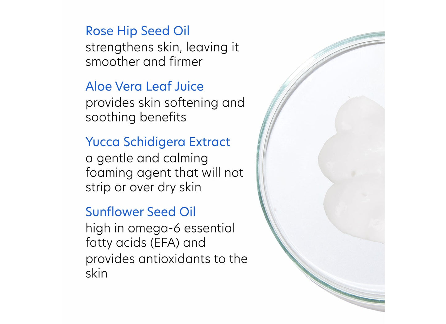Creamy Cleanser